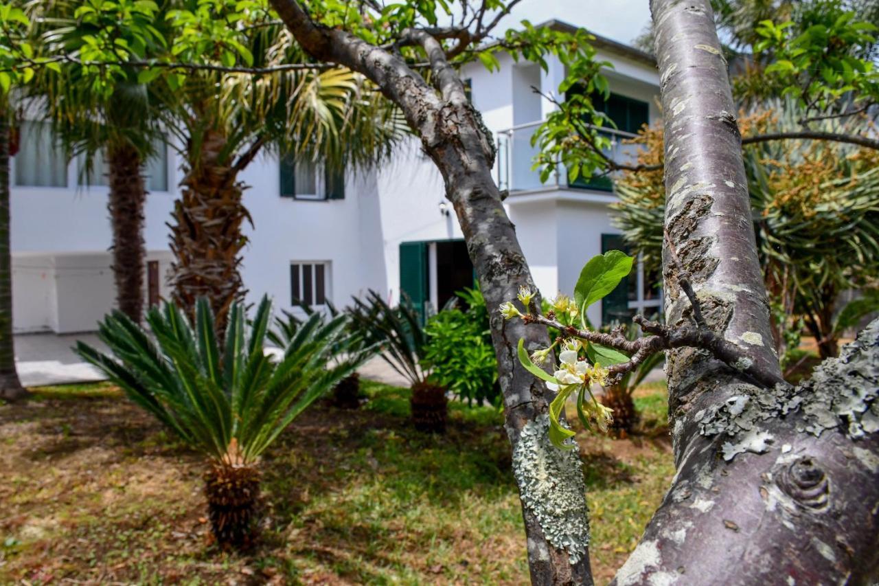 Casa Do Cantinho Do Muro São Vicente Exterior foto